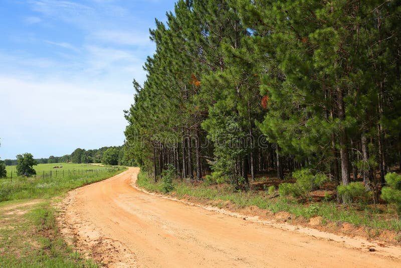 Red clay dirt road on a farm in Georgia, USA
