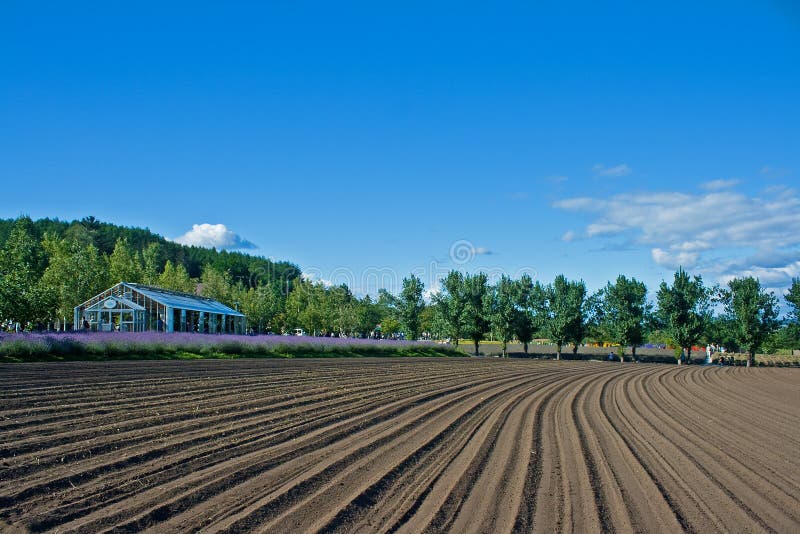 Curved Dirt Road royalty free stock photos