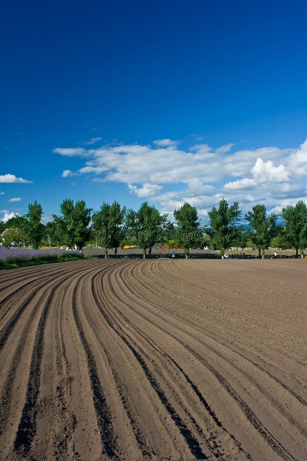 Curved Dirt Road royalty free stock image