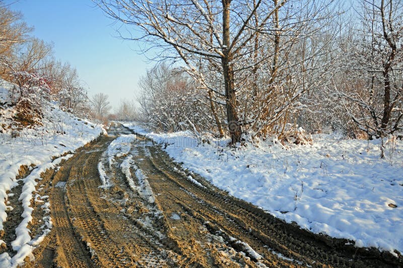 Curved muddy road through forest