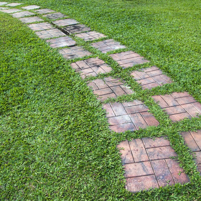 Curved path on a lawn