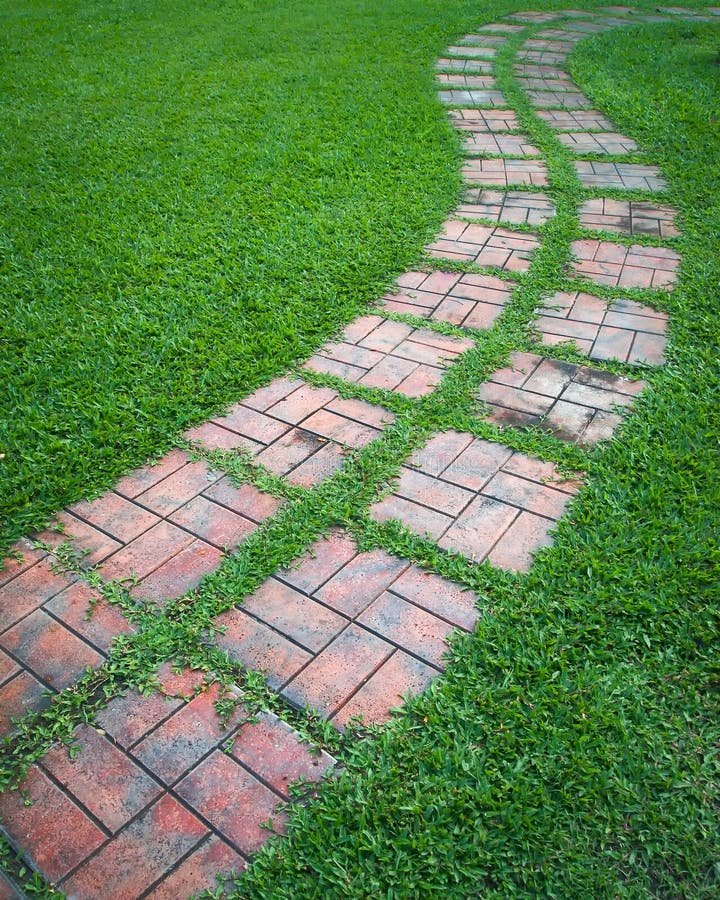 Curved path on a lawn area