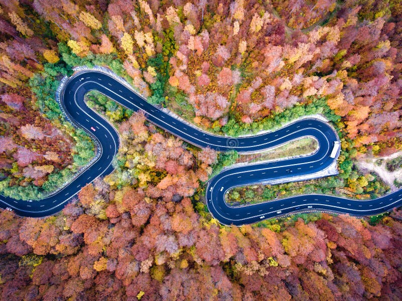 Curved road trough the forest. Hi mountain pass in Transylvania