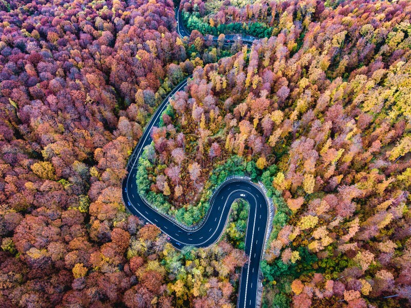 Curved road trough the forest. Hi mountain pass in Transylvania, Romania. Aerial view from a drone.