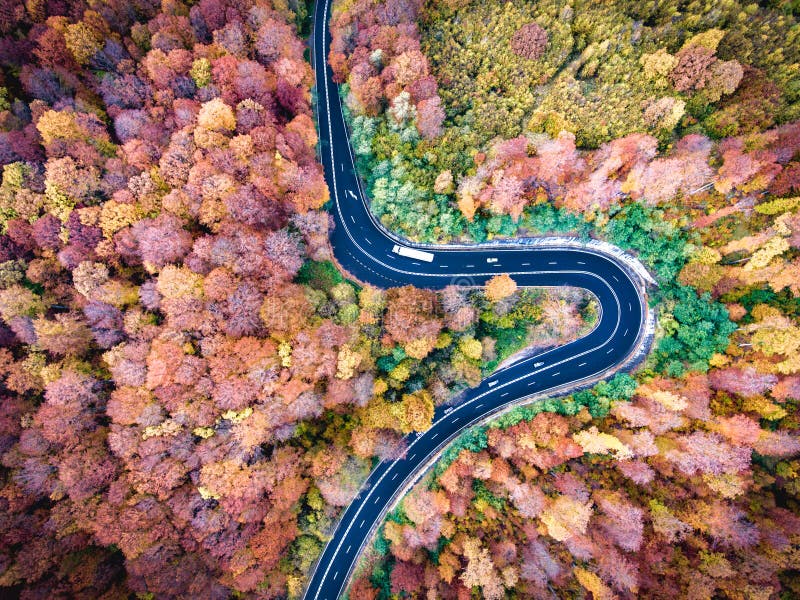Curved road trough the forest. Hi mountain pass in Transylvania, Romania. Aerial view from a drone.