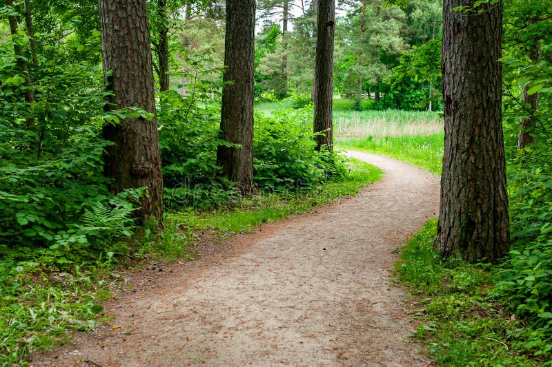 Curved Sidewalk, Path, Trail at the Empty Street. Stock Photo Image