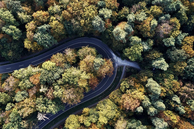 Curved street between autumn forest aerial drone view from above, dji