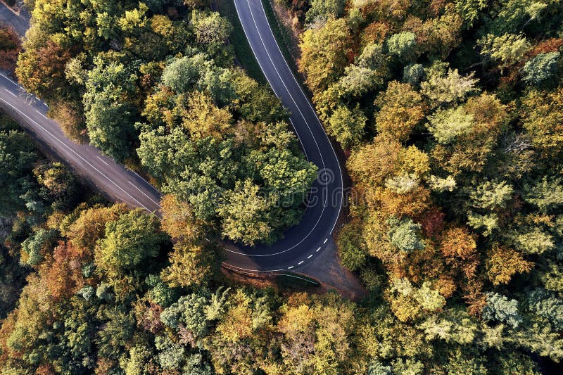 Curved street between autumn forest aerial drone view from above, dji