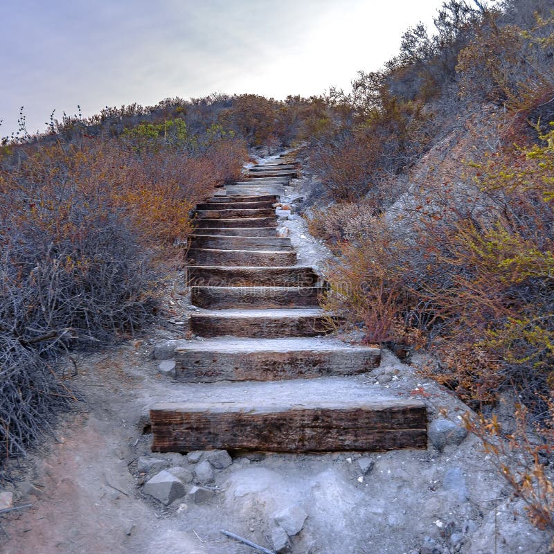 Curving wooden stairs in Monserate Mountain CA royalty free stock image Curving wooden stairs in Monserate Mountain CA royalty free stock image