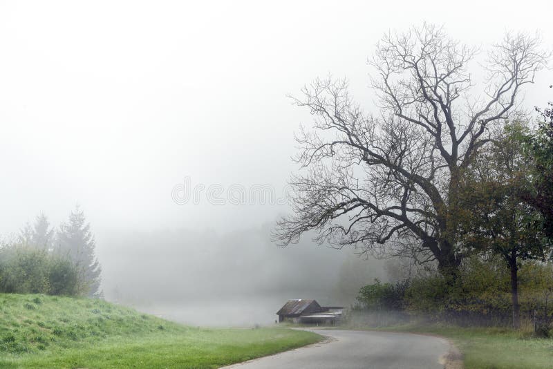 Curvy road in autumn mist with an old shabby house under a bare tree, gray rural landscape in the country, dangerous fog weather f