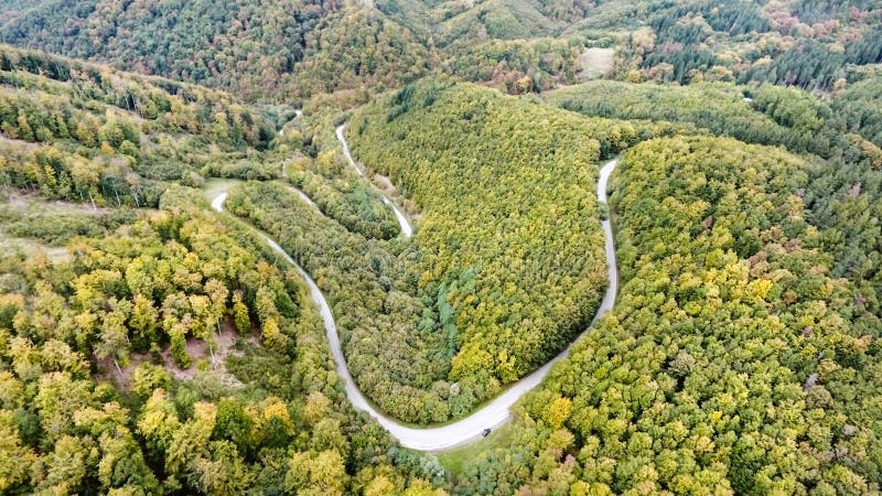 Klikatá cesta v zeleném lese, nízké kopce. Slovensko. Podzimní příroda.