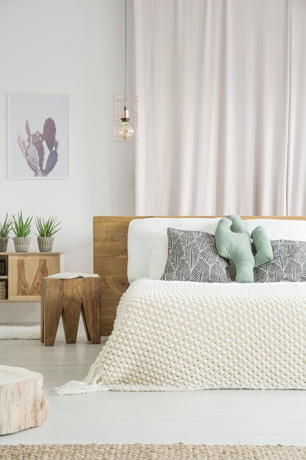 Cuscino del cactus su letto a due piazze fotografia stock libera da diritti Cuscino del cactus su letto a due piazze fotografia stock libera da diritti