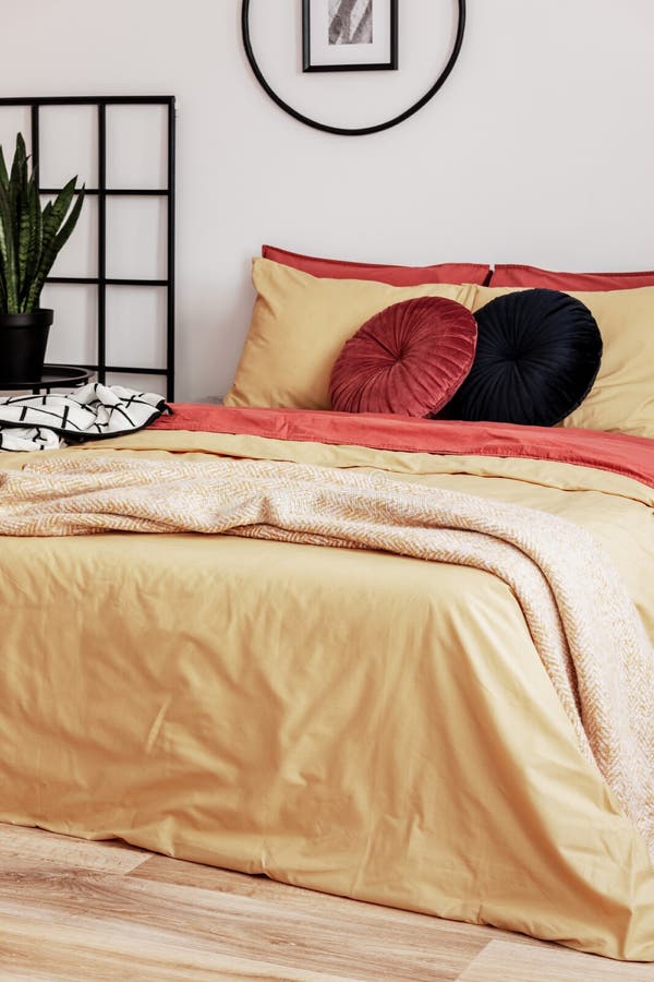 Cuscino Di Velluto Rotondo Nero Su Piumino Giallo In Camera Di Lusso All Interno Di Un Letto Grande Come Il Re Immagine Stock Immagine Di Mobilia Fiore 171984437