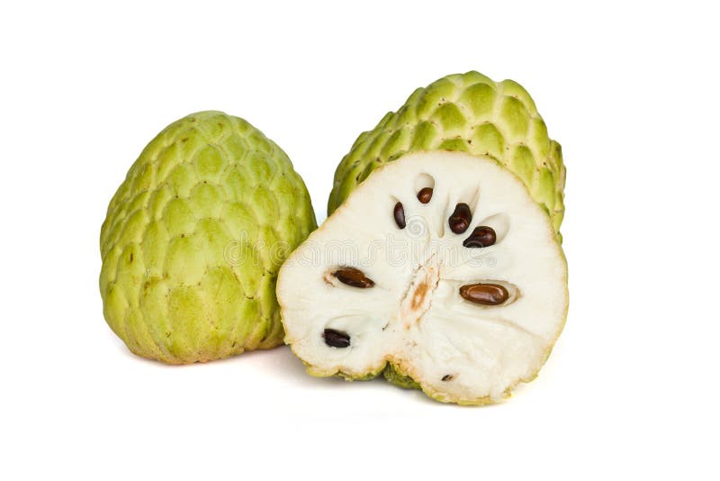 Custard-apple