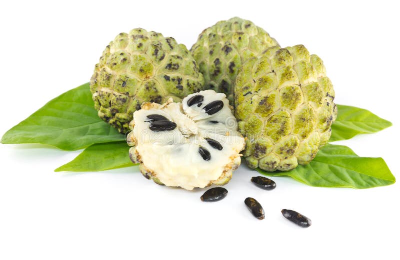 Custard apple and leaves