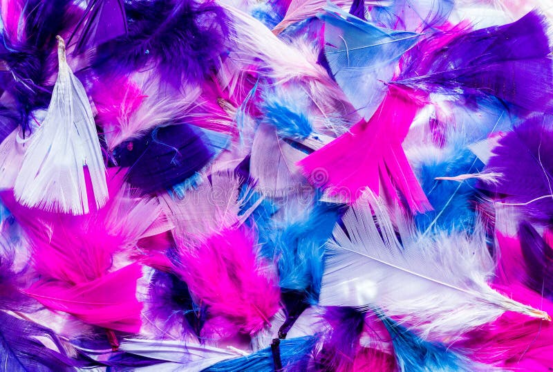504 Mixture Feathers Stock Photos Free & RoyaltyFree Stock Photos from Dreamstime