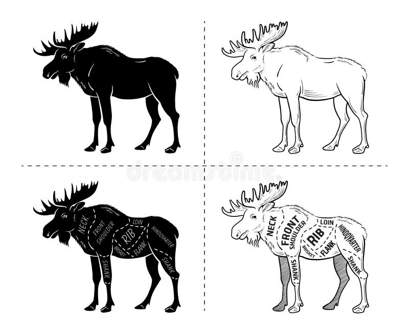 Cuts Of Elk Chart