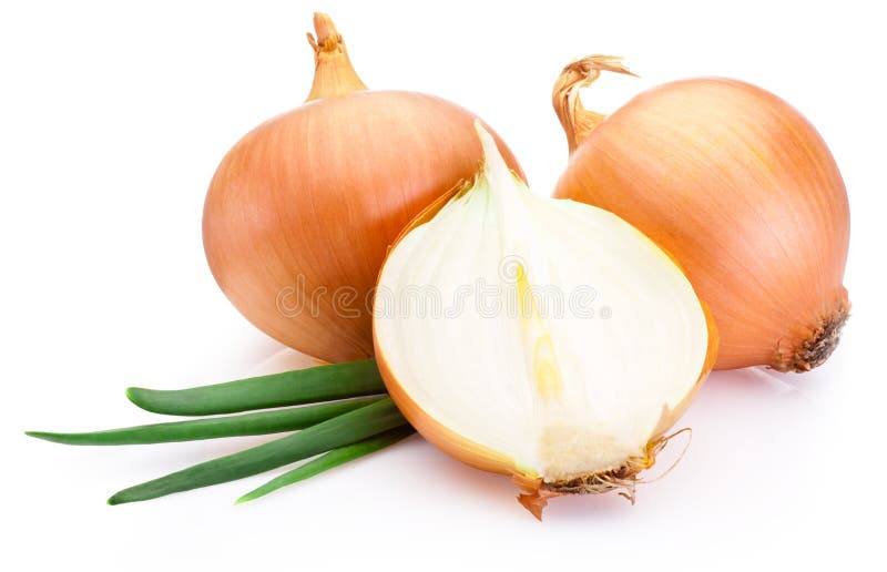 Cut fresh bulbs of onion on white background