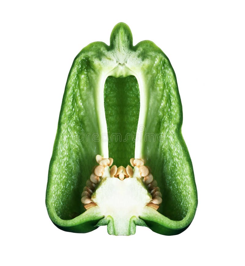 Cut Green Bell Pepper with Seeds Isolated