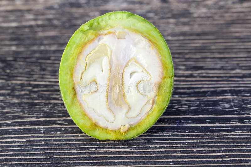 Cut green walnut stock photography