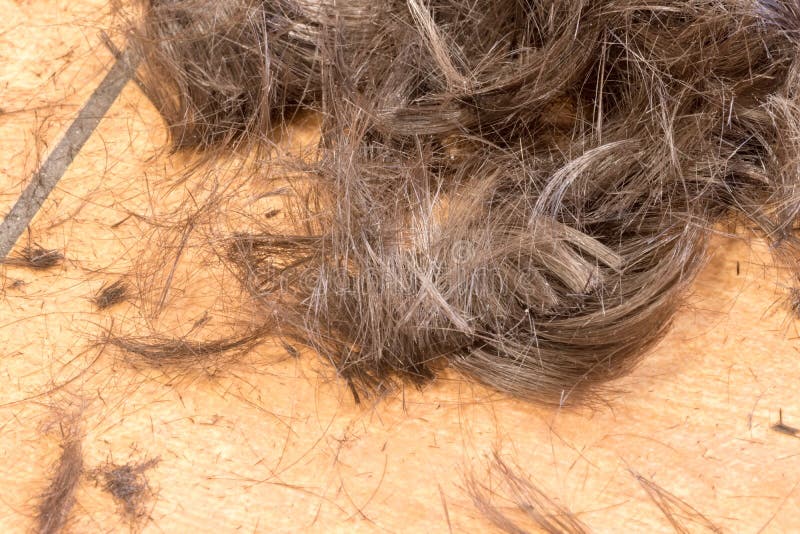 Cut Hair Floor Stock Photos Download 1 323 Royalty Free Photos