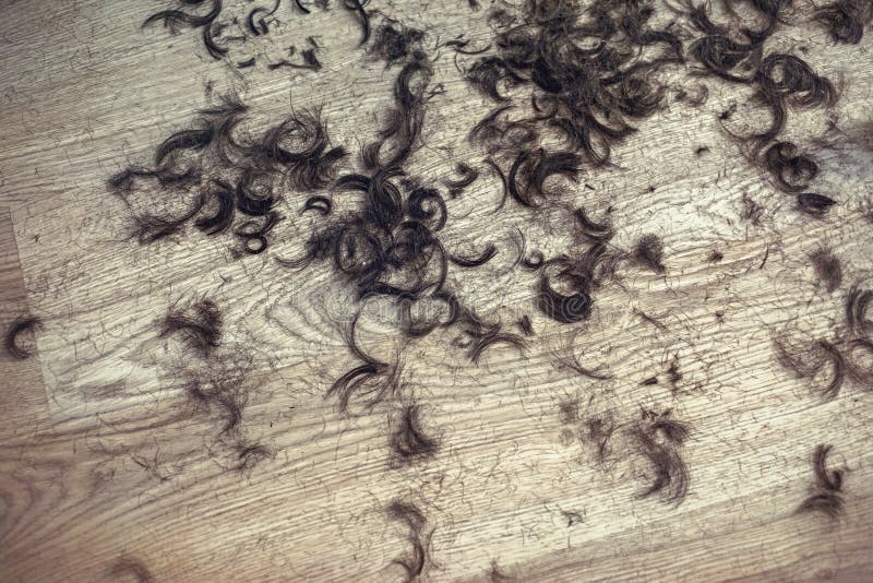 Cut Hair Floor Stock Photos Download 1 323 Royalty Free Photos