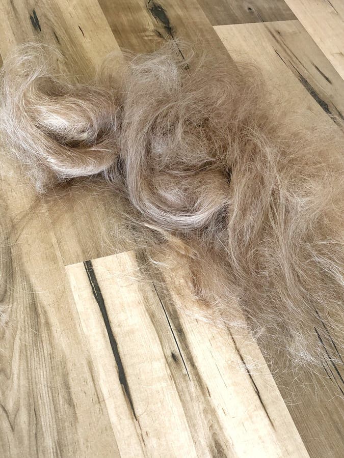 Cut hair on salon floor stock image. Image of floor 110367351