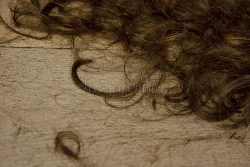 wallpapers Cut Hair On Floor dreamstime com