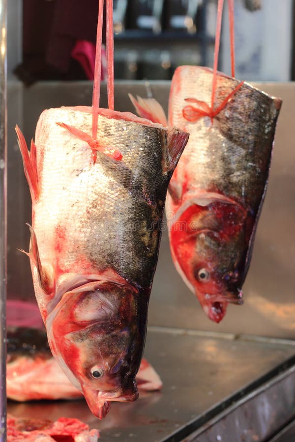 Cut in half fishes stock image. Image of uncooked, chinese 25242959