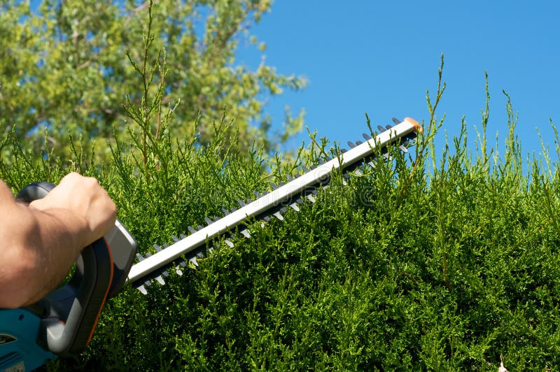 Eine hecke ein Krümel elektrisch.