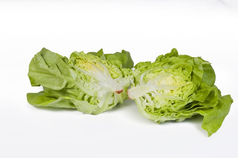 Cut lettuce