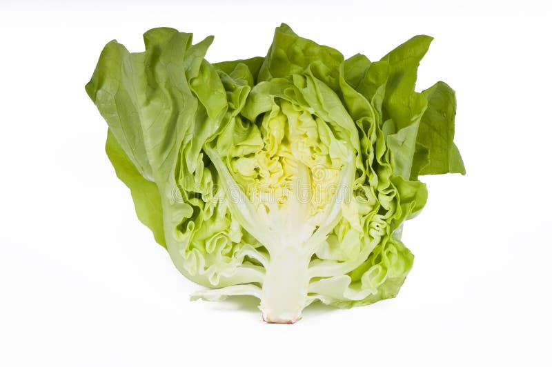 Cut lettuce on white