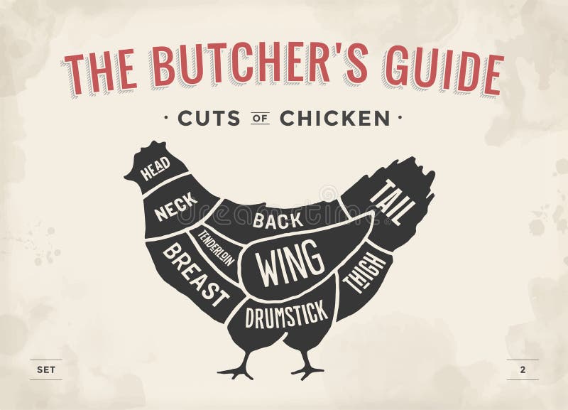 Cut of meat set. Poster Butcher diagram and scheme - Chicken. Vintage typographic hand-drawn. Vector illustration. stock illustration Cut of meat set. Poster Butcher diagram and scheme - Chicken. Vintage typographic hand-drawn. Vector illustration. stock illustration