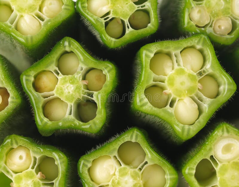 Cut okra stock photo. Image of organic, vegetable, plant 14906860