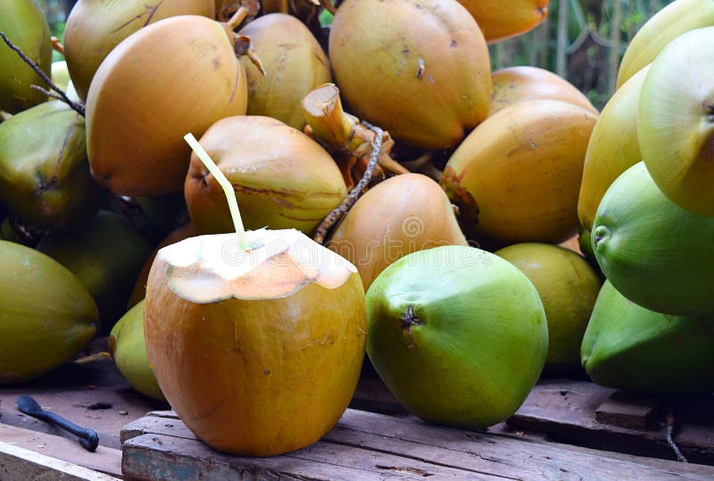 Cut Open Tender Green Coconut with Straw Inside and Bunch of Coconuts -  Healthy Natural Beverage - Nutritious Detox Drink Stock Image - Image of  cultivation, coconut: 127885909