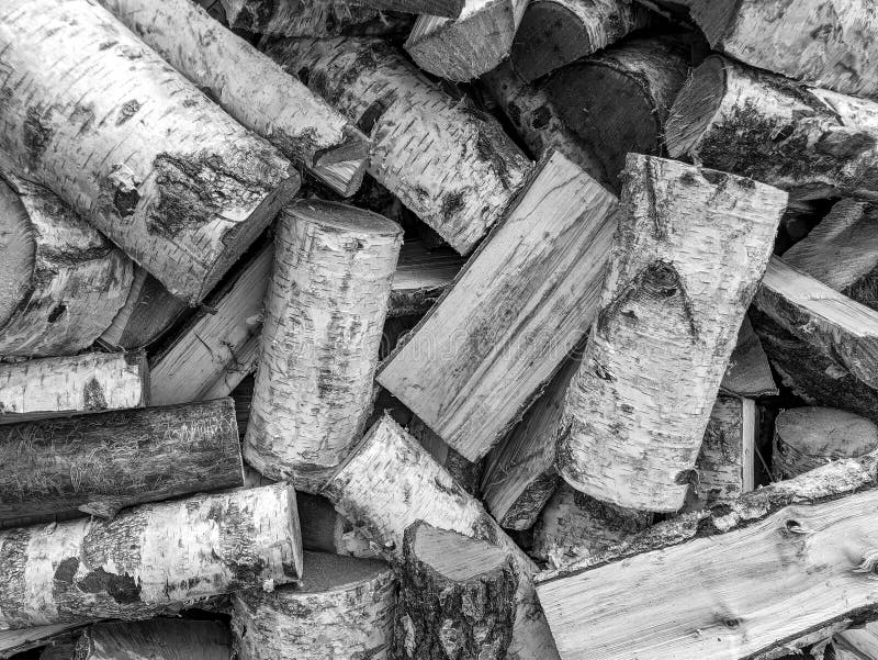 Birch - black and white postcard royalty free stock photo