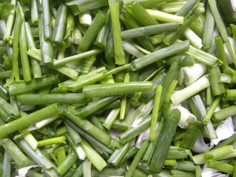 1,152 Cut Scallions Stock Photos Free & RoyaltyFree Stock Photos