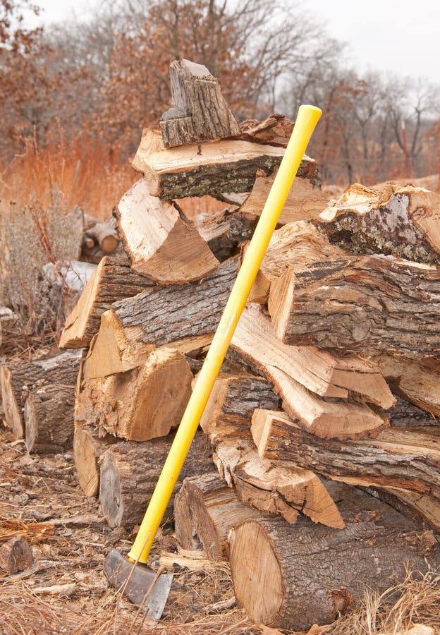 Cut and Split Fire Wood Drying in an Open Pile Stock Image Image of