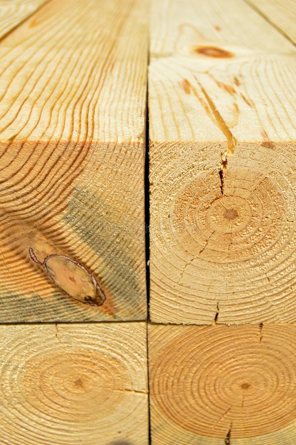 Stacked pine tree lumber stock photo. Image of decorative 101588974