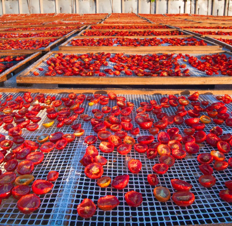 Sundried tomatoes stock photo. Image of color, group 213982212