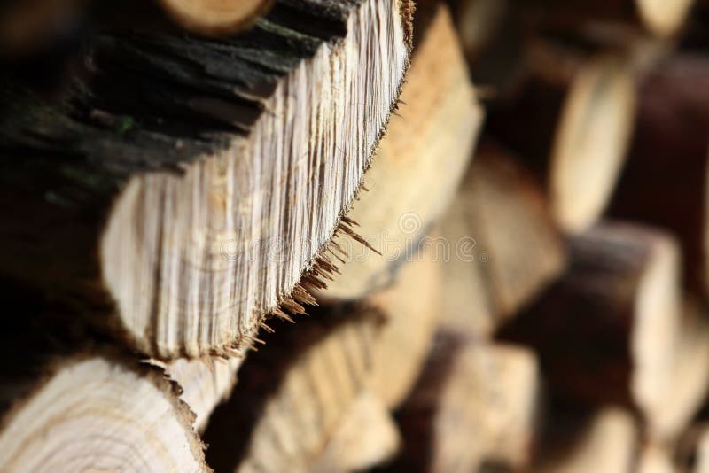 Cut wood stock photo. Image of wood, edge, macro, wooden 4759494