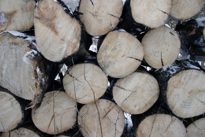 Wood Cutting Services