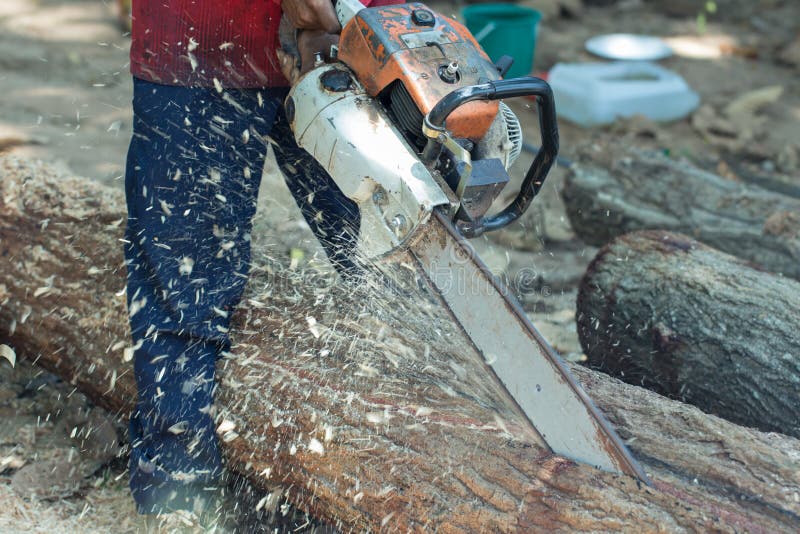 Cut Wood with Jigsaw in Stock Photo Image of handyman