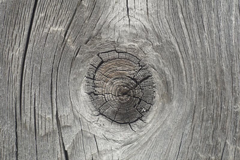 Cut Wood Knot Wooden Board with a Cut Knot Stock Photo Image of rough