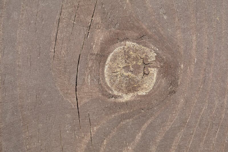 Cut Wood Knot Wooden Board with a Cut Knot Stock Image Image of vintage, wallpaper 179422093