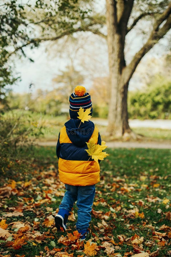 Cute Adorable Little Toddler Boy Child in Jacket and Hat Walking Away ...