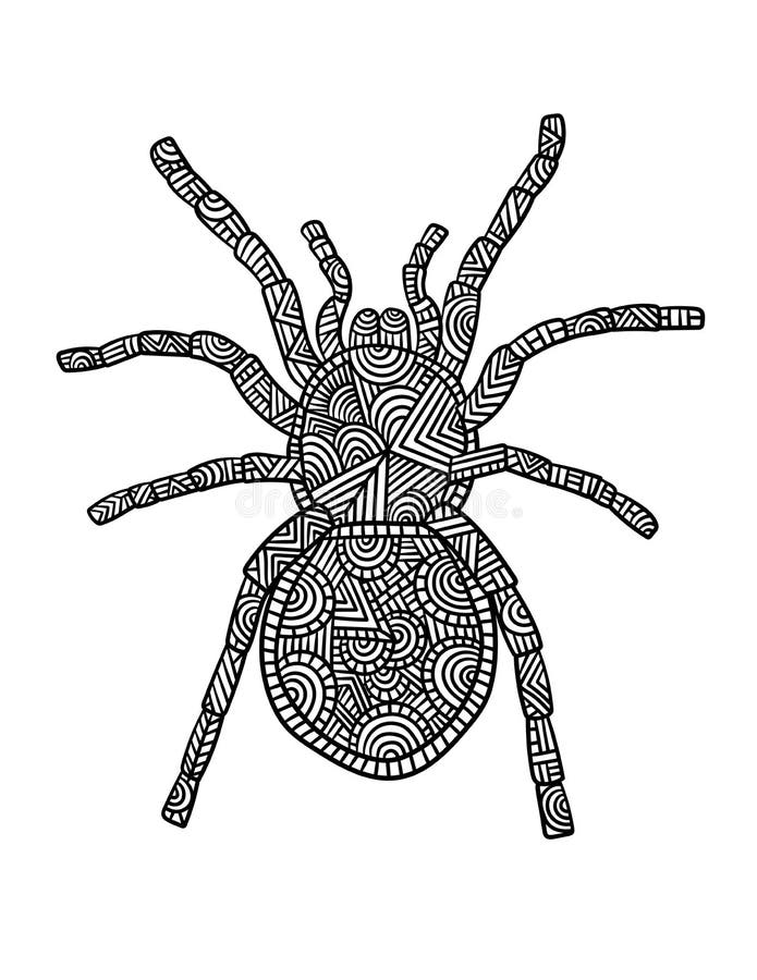 Tarantula Mandala Coloring Pages for Adults Stock Vector - Illustration ...