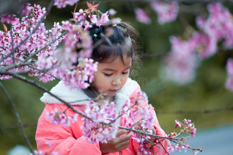 Cute asian child girl enjoying with beautiful pink cherry blossom garden