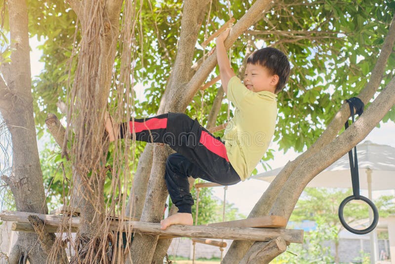 Cute Asian kindergarten boy child having fun facing challenge, trying to climb on the tree outdoor