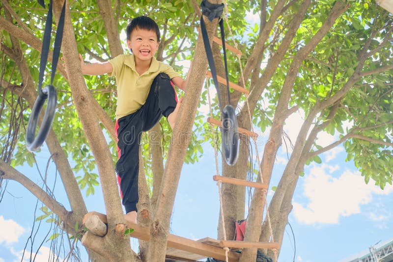 Cute Asian kindergarten boy child having fun facing challenge, trying to climb on the tree outdoor